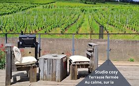 Au Pied Des Vignes, Cocon Douillet Et Chaleureux !